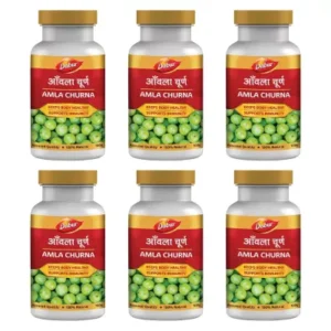 Dabur Amla Churna (100g, Pack of 6)