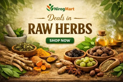 Shalparni (Panchang) – Shalaparni – Sarivan – Desmodium Gangeticum by NirogMart