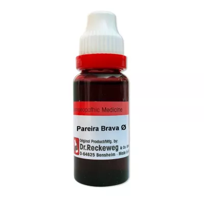 Dr Reckeweg Pareira Brava 1X (Q) (20ml)