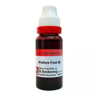 Dr Reckeweg Pothos Foetidus 1X (Q) (20ml)