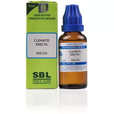 SBL Clematis Erecta 200 CH (30ml)
