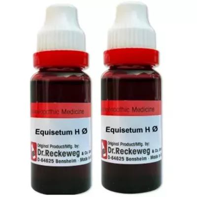 Dr Reckeweg Equisetum Hyemale 1X (Q) (20ml, Pack of 2)