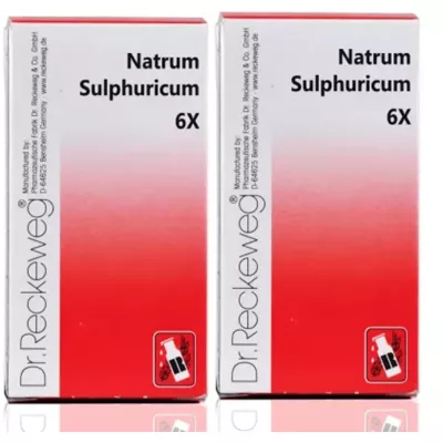 Dr Reckeweg Natrum Sulphuricum 6X (20g, Pack of 2)