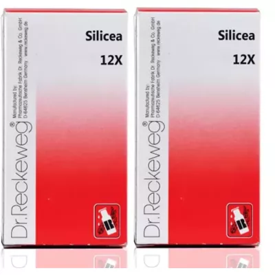 Dr Reckeweg Silicea 12X (20g, Pack of 2)