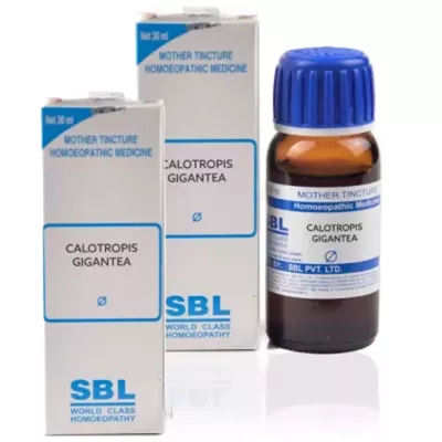 SBL Calotropis Gigantea 1X (Q) (30ml, Pack of 2)