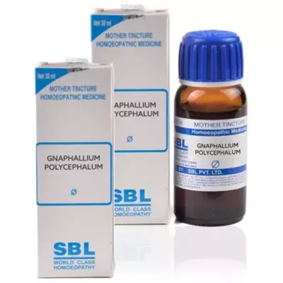SBL Gnaphallium Polycephalum 1X (Q) (30ml, Pack of 2)