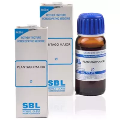 SBL Plantago Major 1X (Q) (30ml, Pack of 2)